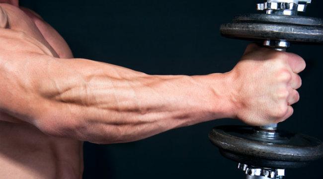 Muscles of the Forearm • Bodybuilding Wizard