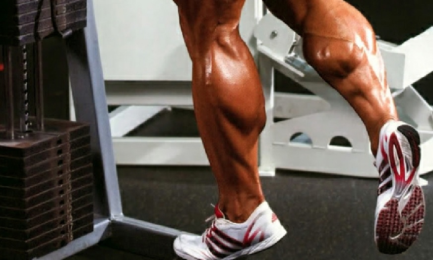 calf-muscles • Bodybuilding Wizard
