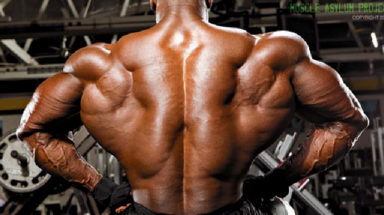 Deep Muscles of the Back - Erector Spinae • Bodybuilding Wizard