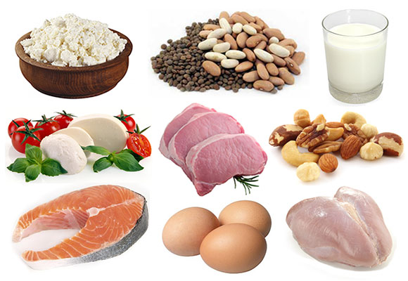 Protein rich foods