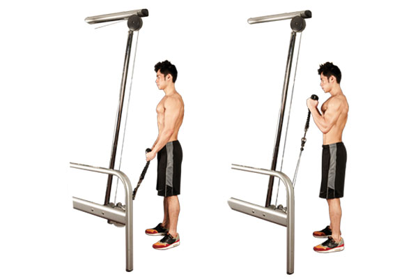 standing cable hammer curl 