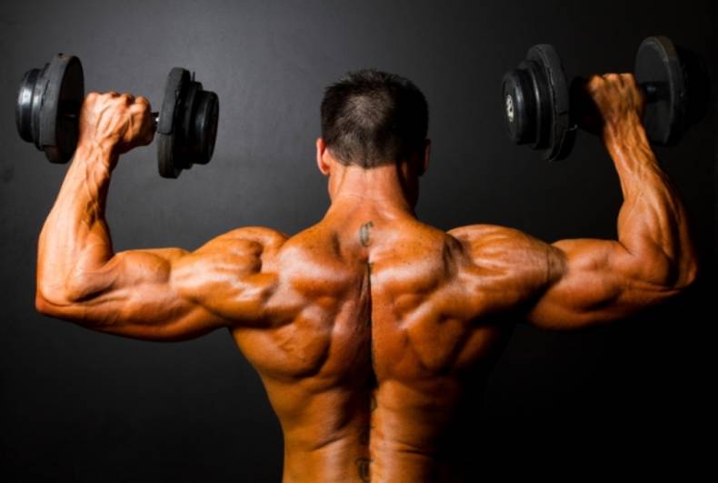 Bodybuilding Anatomy: Shoulders • Bodybuilding Wizard