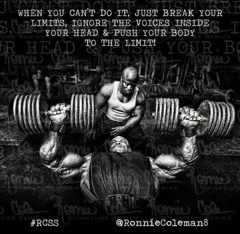 Bodybuilding Quotes And Sayings