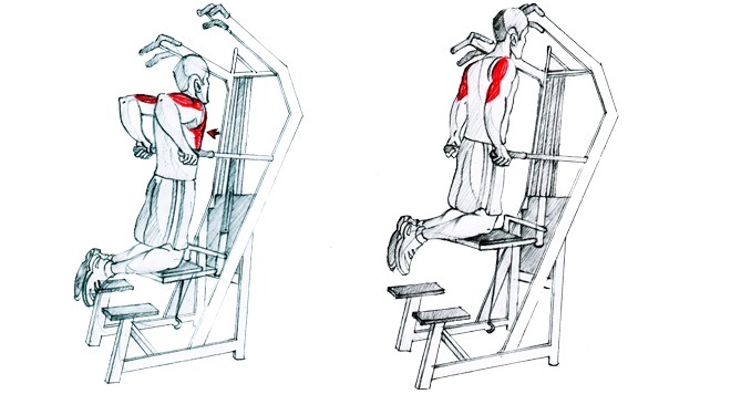 assisted dips