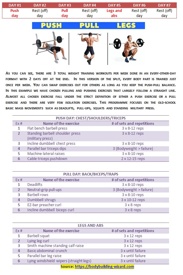 Push Pull Legs Routine Pdf