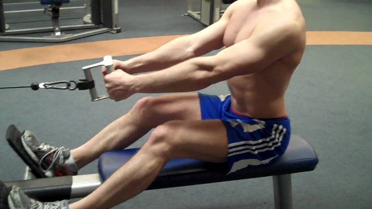 Cable Row Exercise • Bodybuilding Wizard 0798