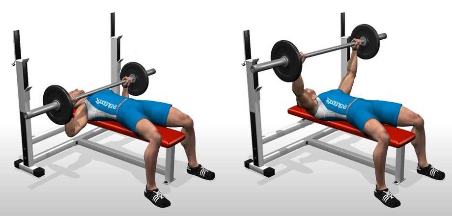 Flat barbell chest press new arrivals