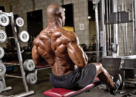 Cable Seated Row  A Strength Exercise