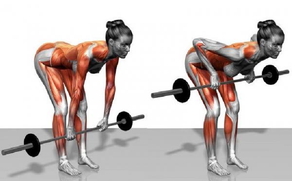 barbell-row-for-latissimus-dorsi • Bodybuilding Wizard