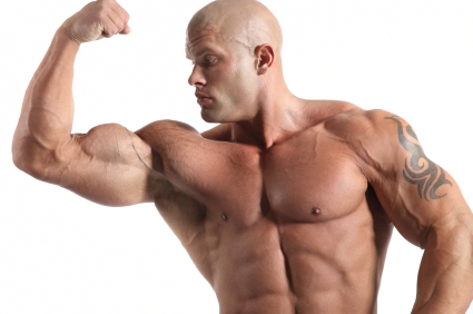 Biceps Brachii Muscle Anatomy