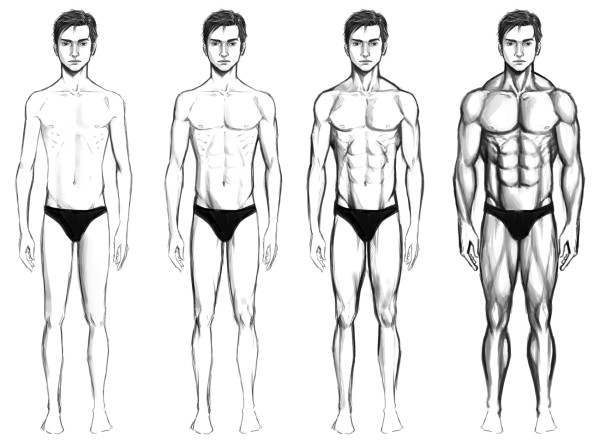 Ectomorph, Mesomorph, and Endomorph Body Types 