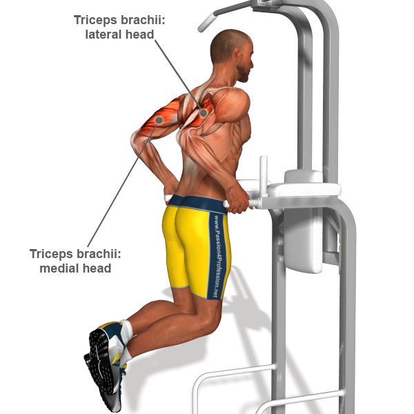 bodyweight dip