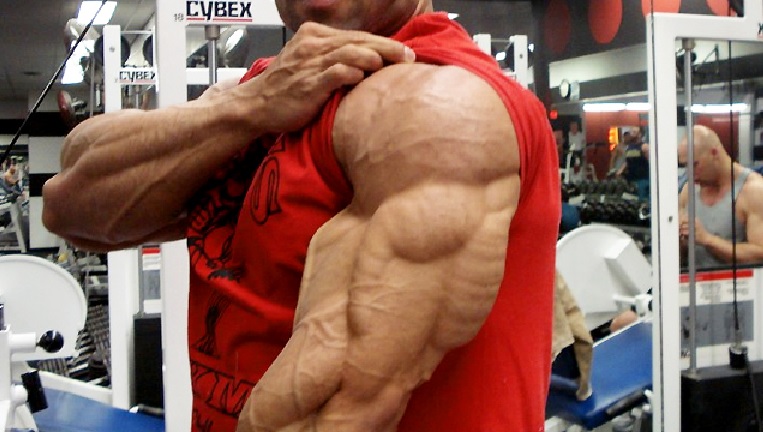 tricep muscles