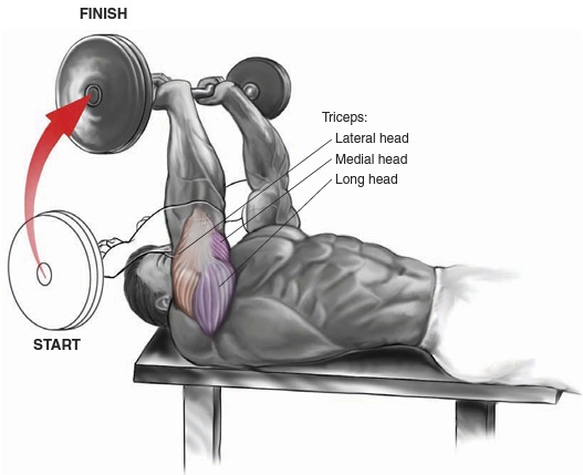 Tricep discount bar extension