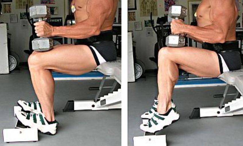 Dumbbell Seated Calf Raise Bodybuilding Wizard