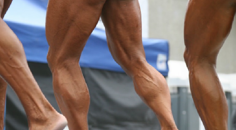 Soleus And Gastrocnemius Bodybuilding Wizard