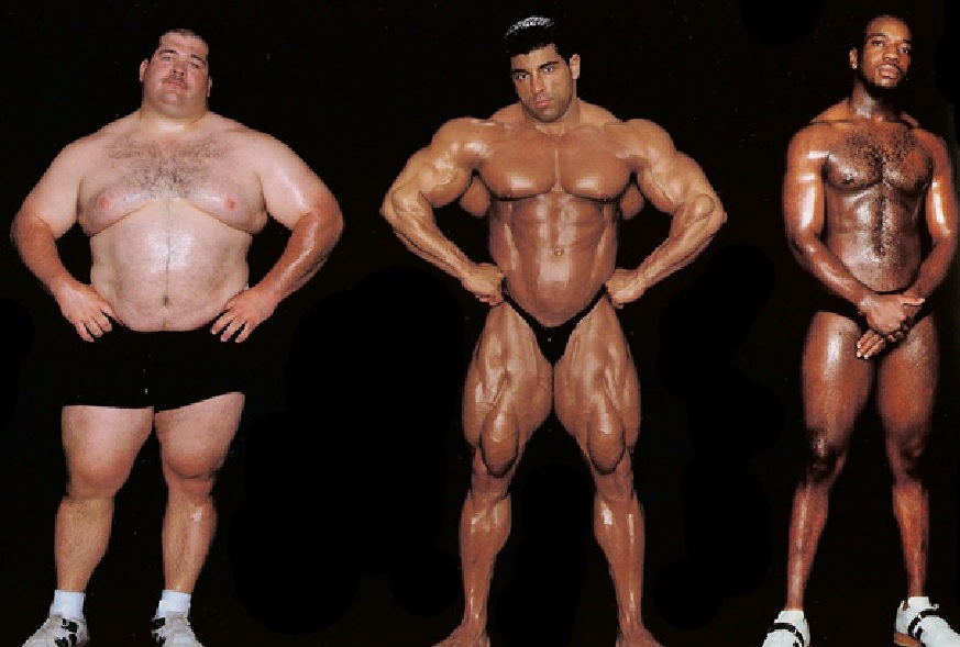 Training Tips For The Endomorph Body Type Bodybuilding Wizard