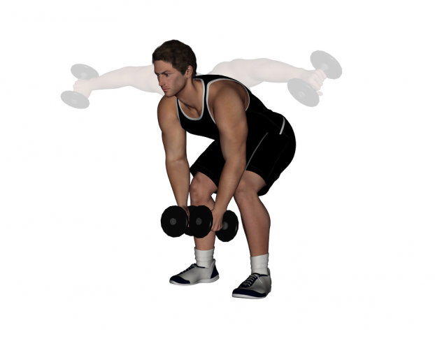 Seated Dumbbell lateral raise. Bent over lateral raises. DB lateral raises, Seated. Bend over Dumbbell lateral.