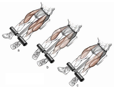 foot positions leg extension