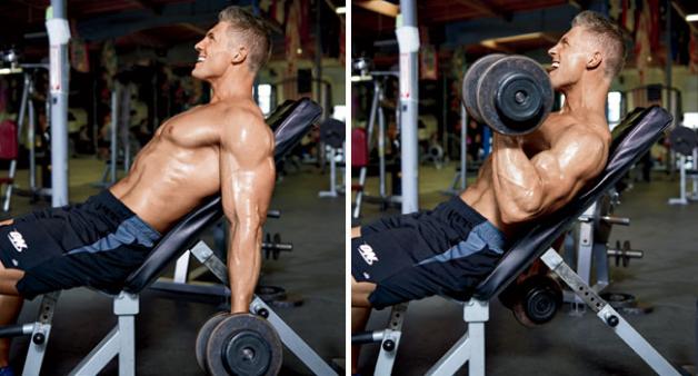 Incline Bench Dumbbell Bicep Curl