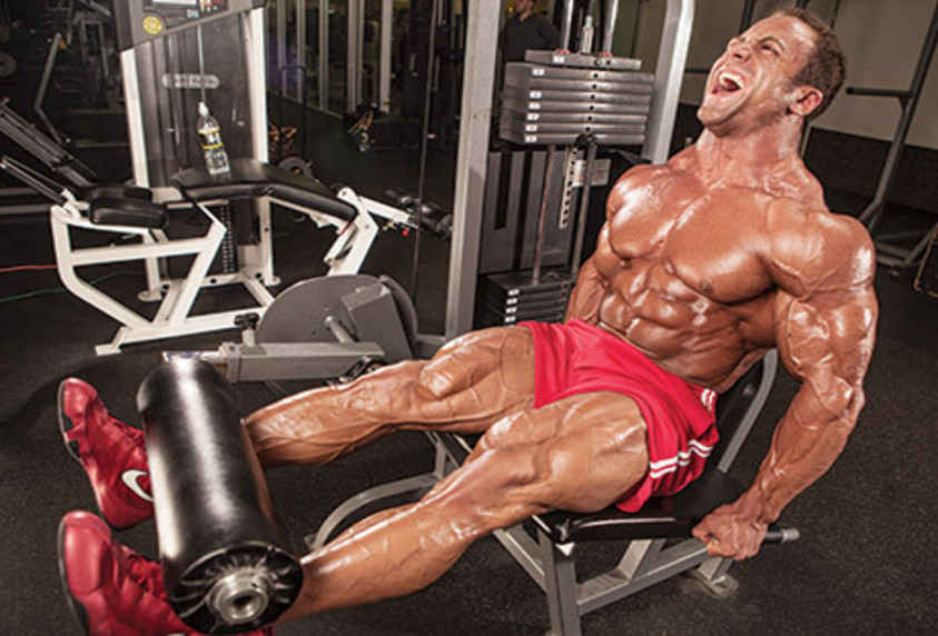 Leg extension 2025 machine muscles used