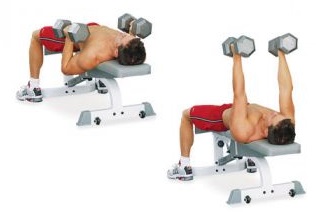 flat dumbbell press muscles worked