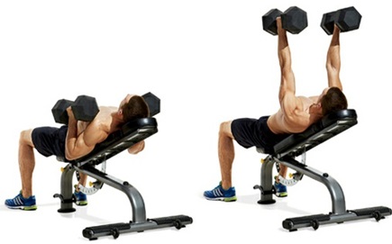 neutral-grip-incline-dumbbell-bench-press-7 • Bodybuilding Wizard