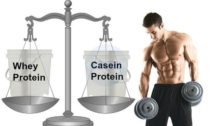 Whey protein Vs Casein Protein