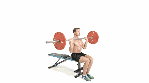 How To Do Seated Barbell Press