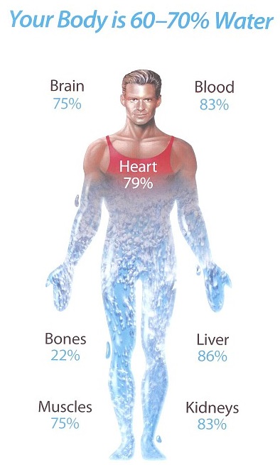 human body and water