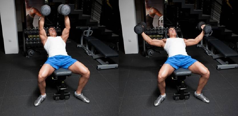 Incline Dumbbell Fly Bodybuilding Wizard