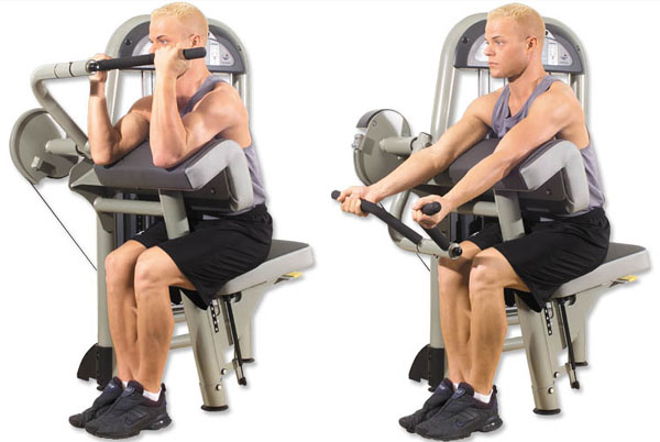 EZ-Bar Preacher Curl - Scott curl • Bodybuilding Wizard