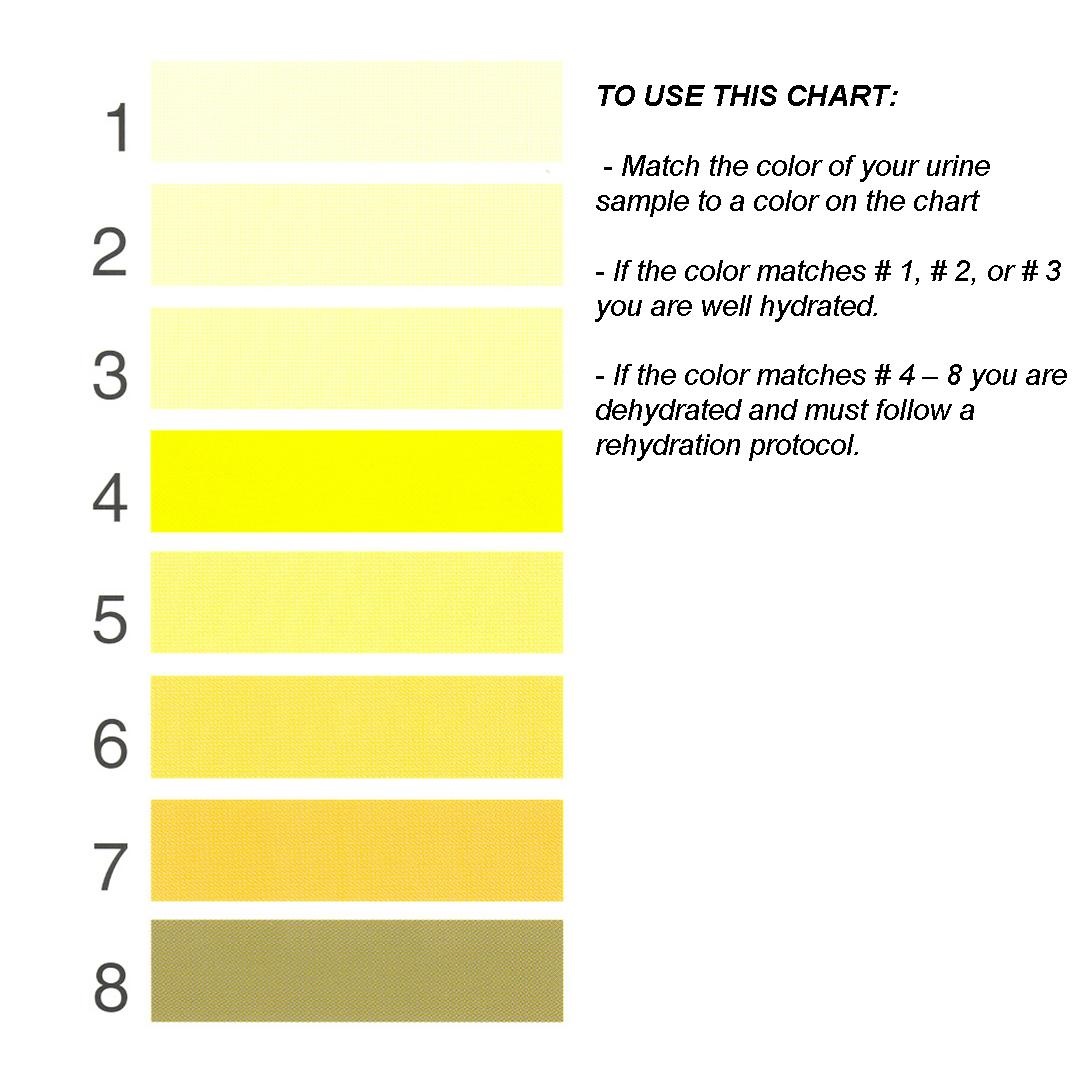 Urine Color and Dehydration