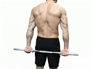 Behind the Back Standing Barbell Wrist Curl