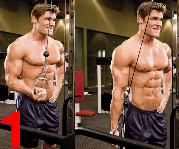 Reverse tricep pushdowns hot sale