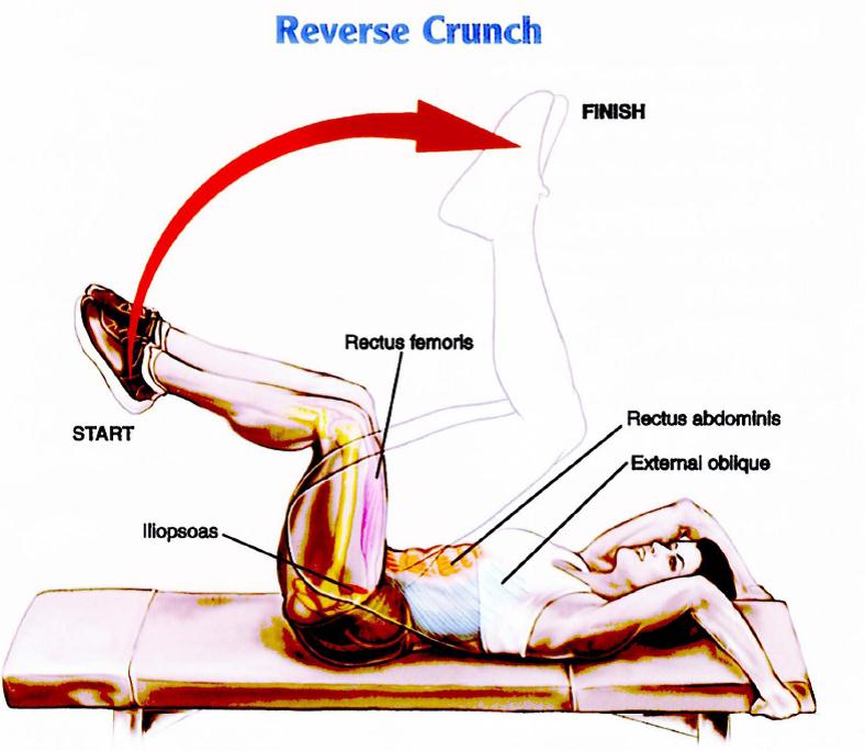 Reverse Crunch Exercise