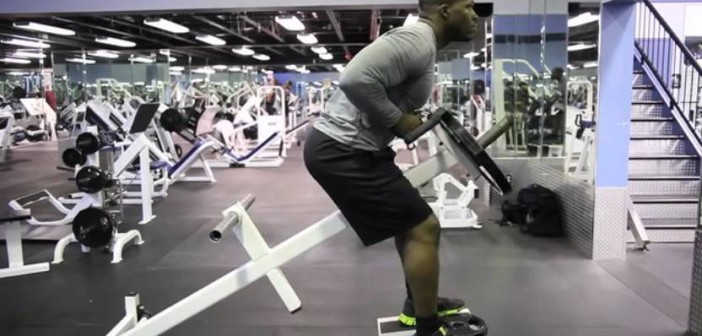 Freestanding T-Bar Row • Bodybuilding Wizard