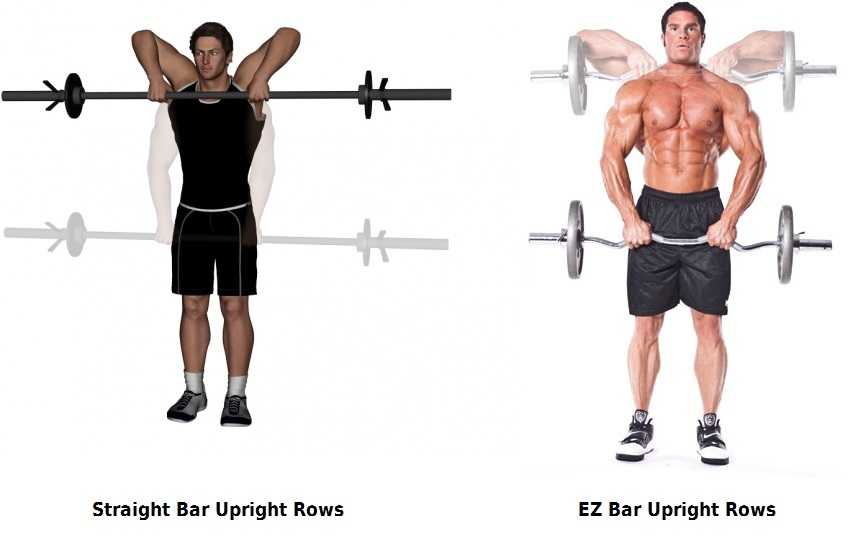 Barbell Upright Row Exercise