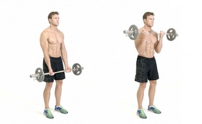 Standing EZ Bar Curl Exercise Bodybuilding Wizard