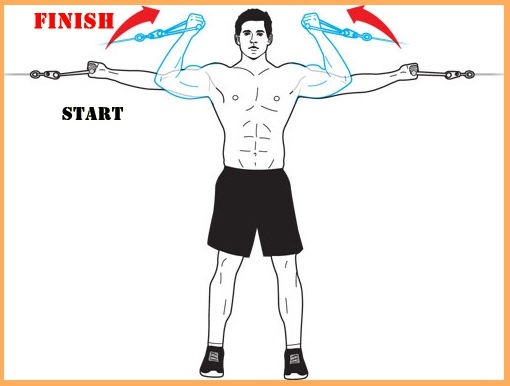 Pulley cheap bicep exercises