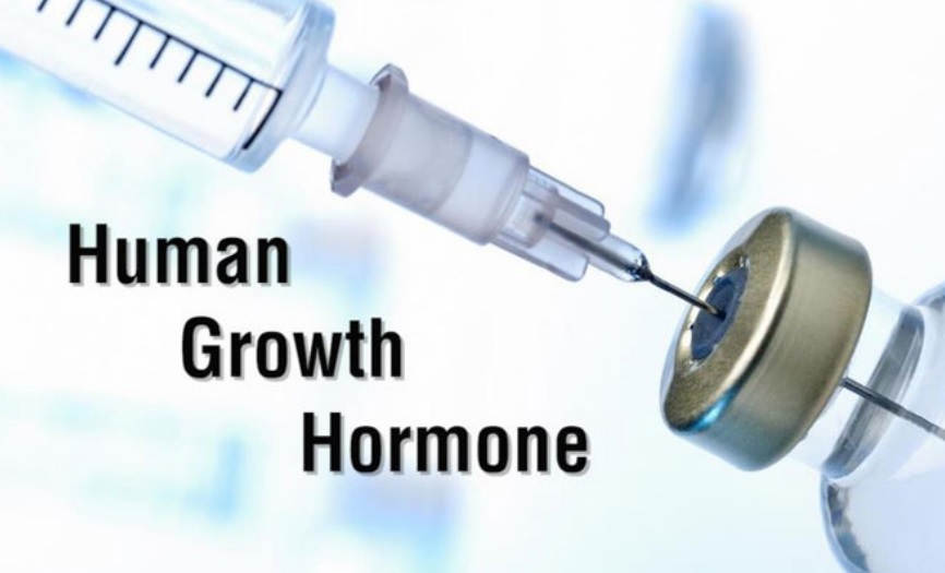 What Is The Meaning Of Growth Hormone