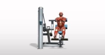 Machine Lumbar Extension Machine Lumbar Extension
