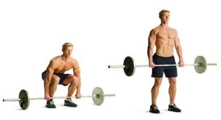 Traditional Deadlift Exercise Technique
