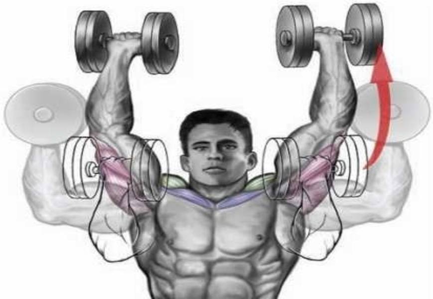 dumbbell overhead press with neutral grip