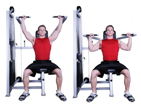 Machine Shoulder Press Bodybuilding Wizard