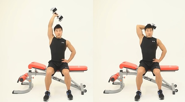 one arm dumbbell triceps extension