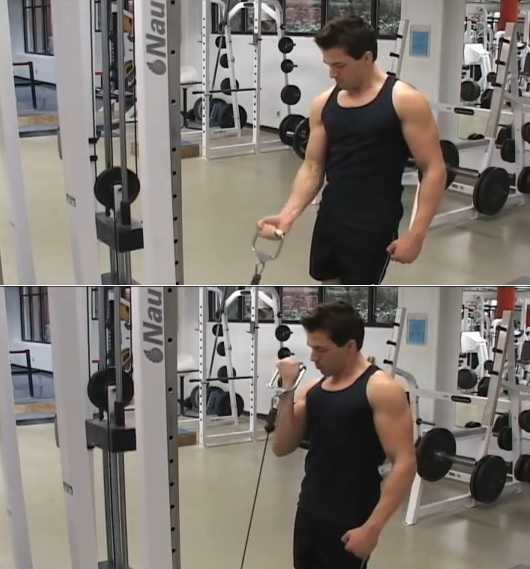 Standing One-Arm Cable Curl