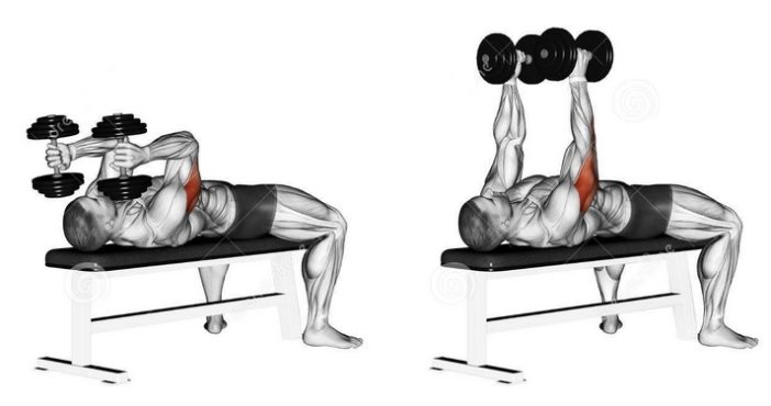 Lying Dumbbell Triceps Extension • Bodybuilding Wizard