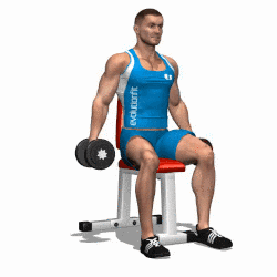 Gif animation: Seated dumbbell lateral raise