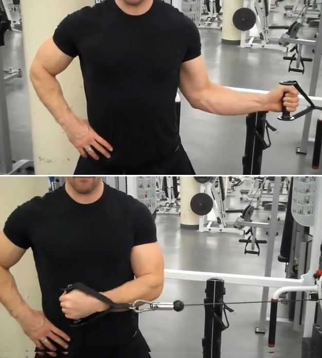 Cable Internal Rotation • Bodybuilding Wizard